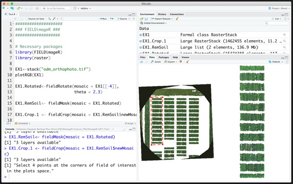 RStudio